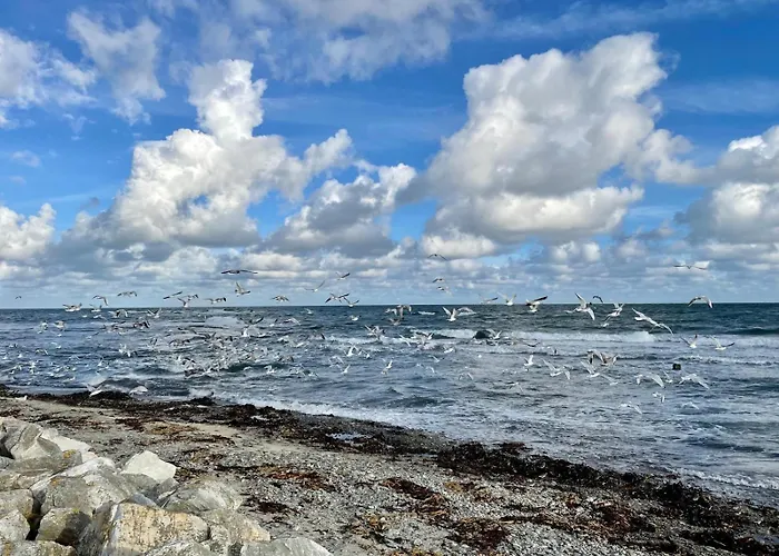 Rosalie Vue Exceptionnelle *